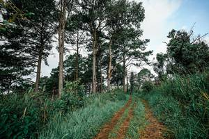 BIB: 
                            <button type="button" onclick="openModal(26028861)" class="btn btn-primary btn-sm float-right btn-popup" data-toggle="modal" data-target=".modal-high-quality">
                        <i class="fas fa-shopping-cart"></i> Add to Cart
                    </button>
                                            <button type="button" onclick="isThisMe(26028861, true)" class="btn btn-success btn-sm float-right btn-popup btn-isme hidden" data-toggle="tooltip" data-placement="bottom" title="นี่คือรูปของคุณใช่ไหม คลิกที่นี่เพื่อเอาเข้าอัลบั้ม">
                        <i class="fas fa-plus"></i> Add to album
                    </button>
                    <button type="button" onclick="isThisMe(26028861, false)" class="btn btn-warning btn-sm float-right btn-popup btn-isnotme hidden">
                        <i class="fas fa-ban"></i> Remove from album
                    </button>